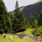 Cascade en forêt - Lac Bleu - Chiroulet Lesponne